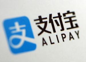 国产在线专一,引领行业新潮流的本土创新力量