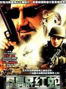 国产红蛇电影在线播放,在线播放，揭秘神秘蛇影之谜