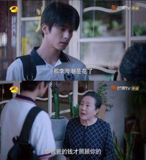 她很漂亮国产剧在线看,国产剧中的颜值与智慧并存，在线观看盛宴