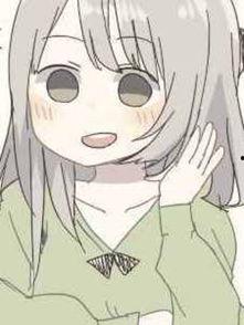 国产动漫jk在线,探寻JK风格的魅力之旅