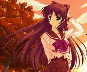 国产动漫在线完结了吗,在线完结大揭秘