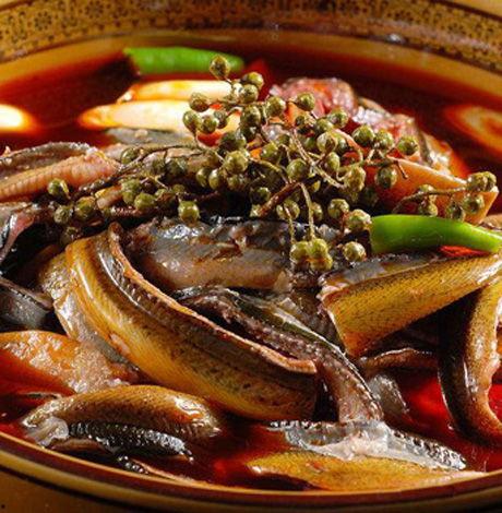 国产黄鳝在线新址