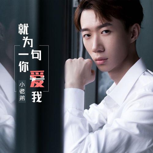 国产小老弟音乐在线播放,畅享国风新声，尽在指尖流转