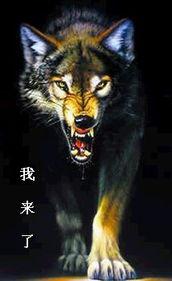 狼好色国产图片在线,揭秘国产狼好色图片背后的故事